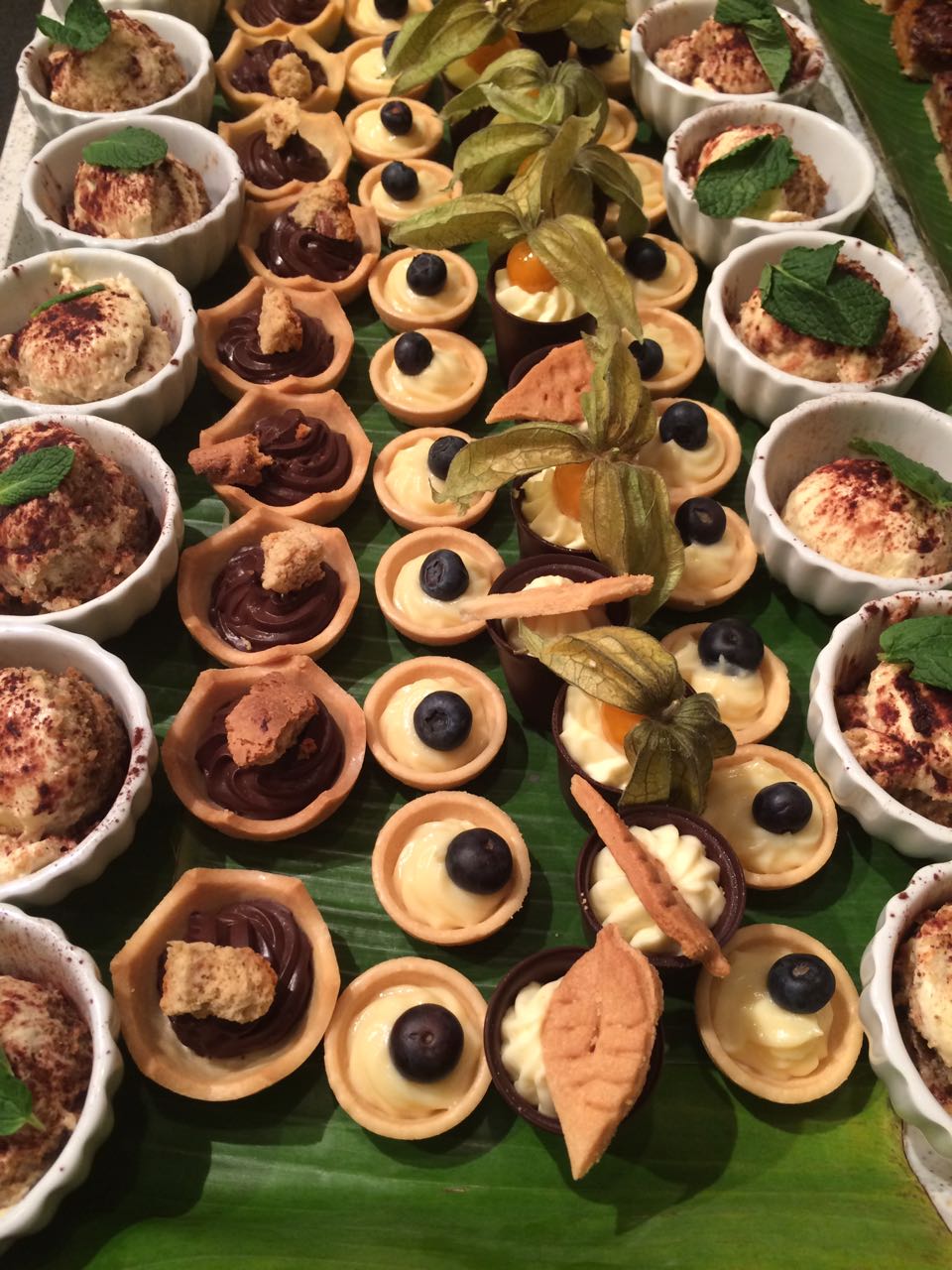 WhatsApp Image 2017 12 28 at 17.53.491